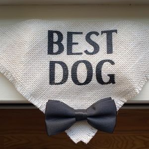 Dog bandana